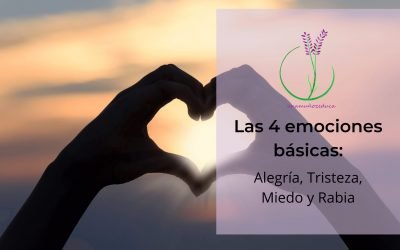 Las 4 emociones básicas
