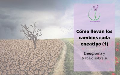 ¿Sabes cómo llevan los cambios cada eneatipo?