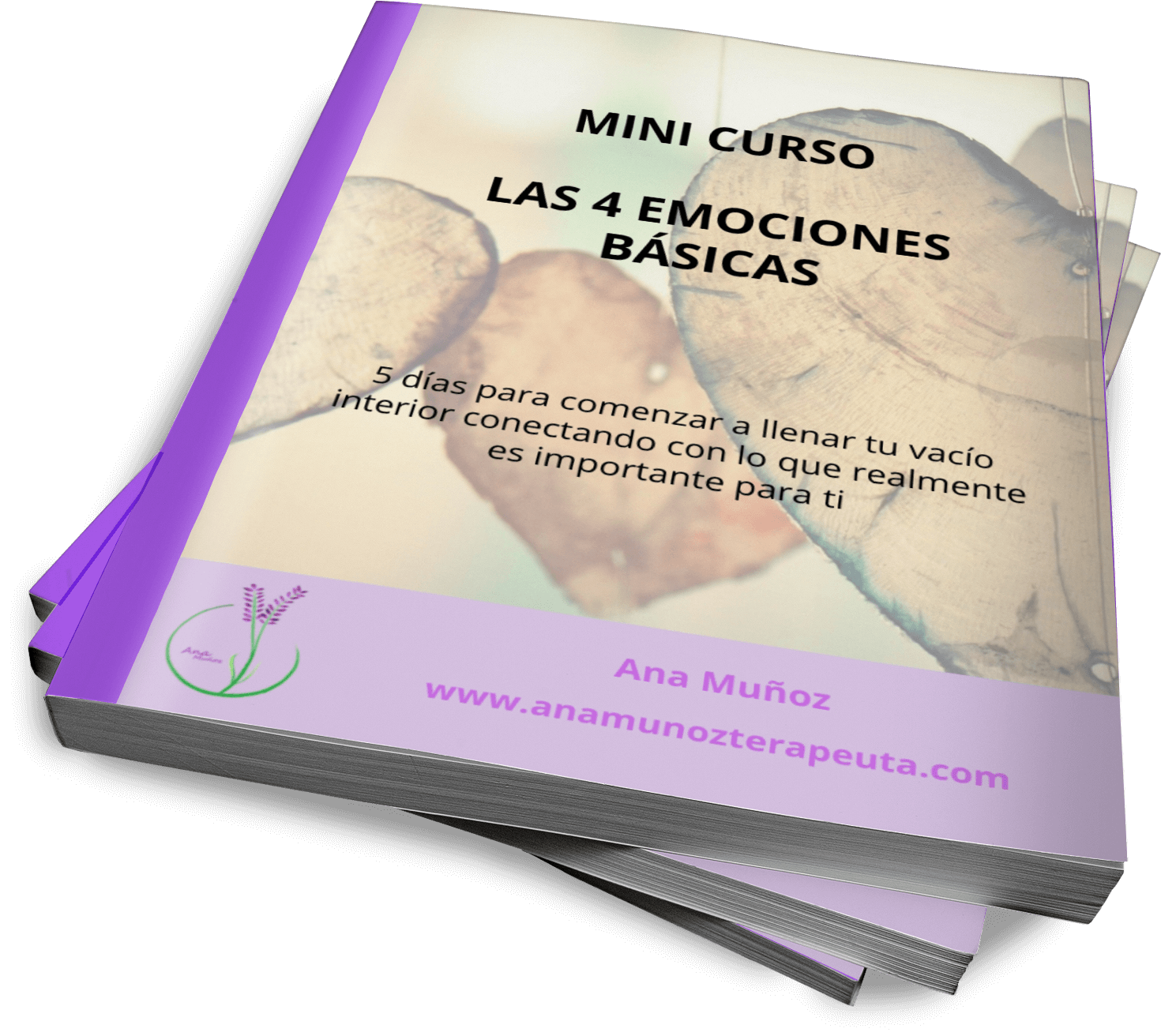 Mini Curso Regalo Web Mini Curso Las 4 emociones básicas