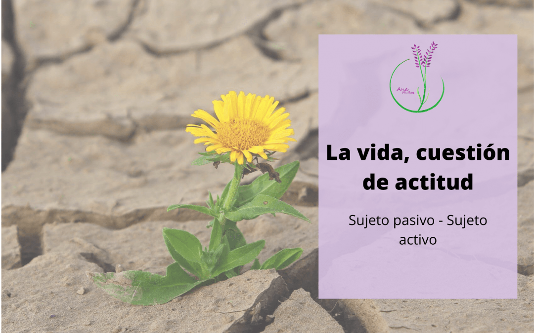 Cuestión de actitud